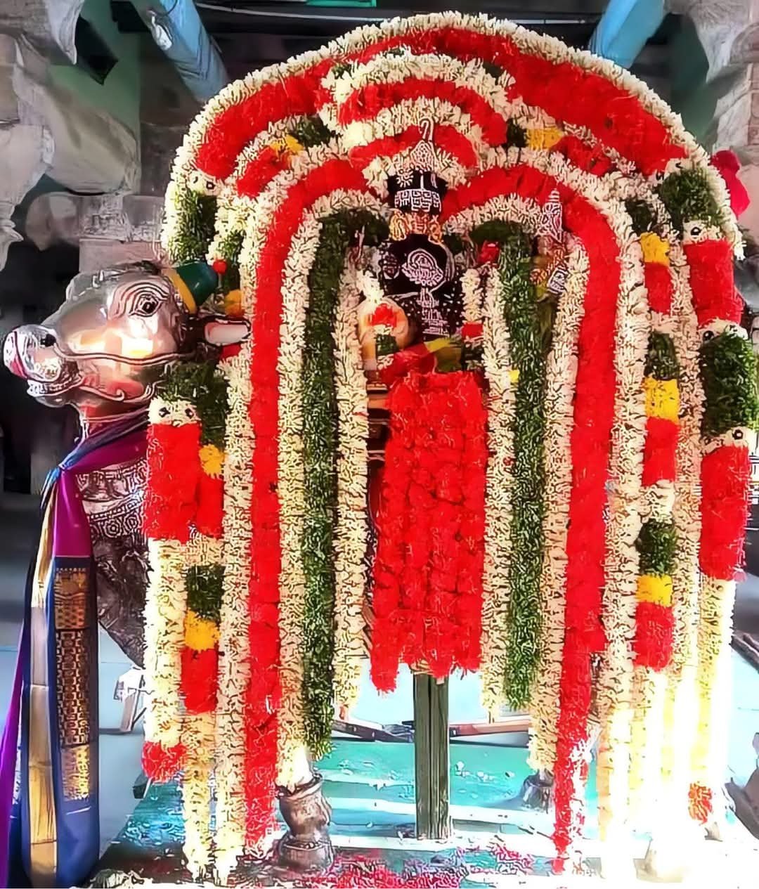 The relation between sāṃbhavī dīkṣā and mahotsava